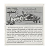 5 ANDREW - Marineland of Florida - View-Master 3 Reel Packet - vintage - A964-S6A Packet 3dstereo 