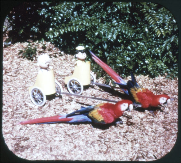 5 ANDREW - Parrot Jungle Packet No.2 - View-Master 3 Reel Packet - vintage - A970-G1B Packet 3dstereo 