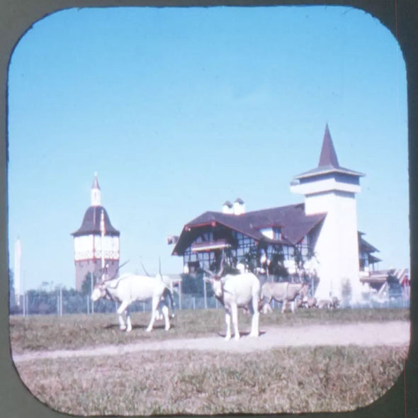 5 ANDREW - Busch Garden Zoological Park - Florida - View-Master 3 Reel Packet - vintage - A979A-G1A Packet 3dstereo 