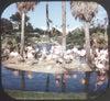 9 ANDREW - Busch Gardens - View-Master 3 Reel Packet - vintage - A988-S6A Packet 3Dstereo 