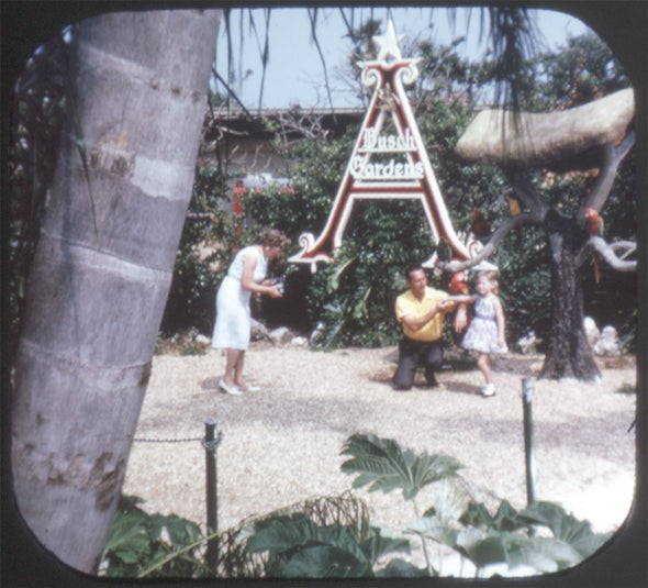 9 ANDREW - Busch Gardens - View-Master 3 Reel Packet - vintage - A988-S6A Packet 3Dstereo 