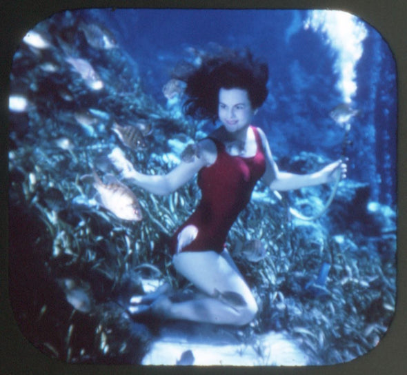 Weeki Wachee, Spring of Live Mermaids, Florida - View-Master 3 Reel Packet - ECO-A991-S6 Packet 3dstereo 