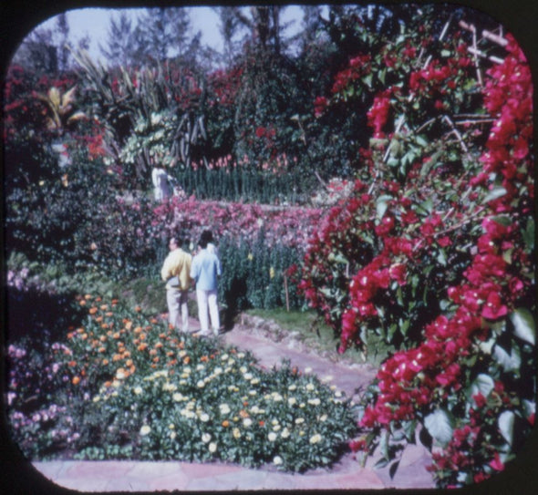 5 ANDREW - Sunken Gardens - View-Master 3 Reel Packet - vintage - A992-G1B Packet 3dstereo 