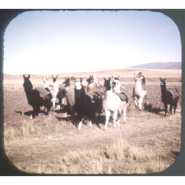 6 ANDREW - Bolivia - View-Master 3 Reel Packet - vintage - B082-S6A Packet 3dstereo 