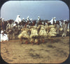 5 ANDREW - Grand Tour of Africa - View-Master 3 Reel Packet - vintage - B096-V2 Packet 3dstereo 