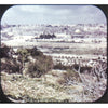 4 ANDREW - Holy Land - View-Master 3 Reel Packet - vintage - B226-G3A Packet 3dstereo 