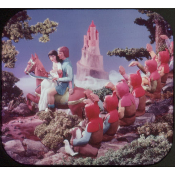 9 ANDREW - Snow White and The Seven Dwarfs - View-Master 3 Reel Packet - vintage - B300-S6 Packet 3Dstereo 