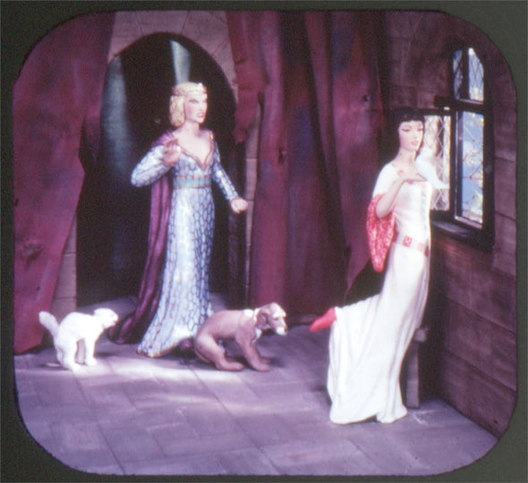 5 ANDREW - Snow White and The Seven Dwarfs - View-Master 3 Reel Packet - vintage - B300E-S5 Packet 3dstereo 