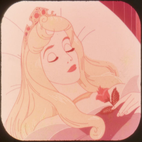 10 ANDREW - La Bella Durmiente Del Bosque - View-Master 3 Reel Economy Packet - vintage - B308-S-G6 Packet 3dstereo 