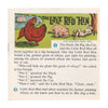 5 ANDREW - The Little Red Hen - View-Master 3 Reel Packet - vintage - B319-S6A Packet 3dstereo 