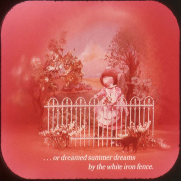9 ANDREW - Holly Hobbie - View-Master 3 Reel Economy Packet - vintage - B344-G5A Packet 3Dstereo 