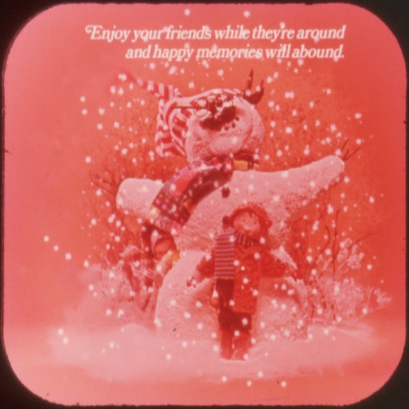 9 ANDREW - Holly Hobbie - View-Master 3 Reel Economy Packet - vintage - B344-G5A Packet 3Dstereo 