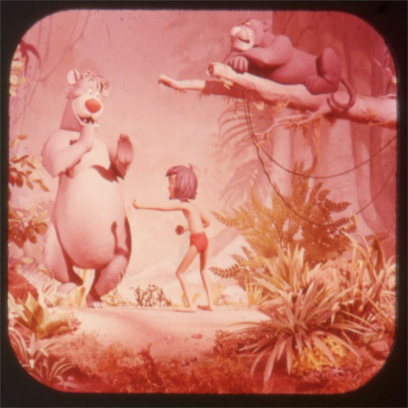 4 ANDREW - Jungle Book - View-Master 3 Reel Packet - 1966 - vintage - B363E-BG3 Packet 3dstereo 