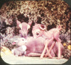 Bambi - Sculpted Clay Figure Art - View-Master 3 Reel Set - vintage FKT 3dstereo 