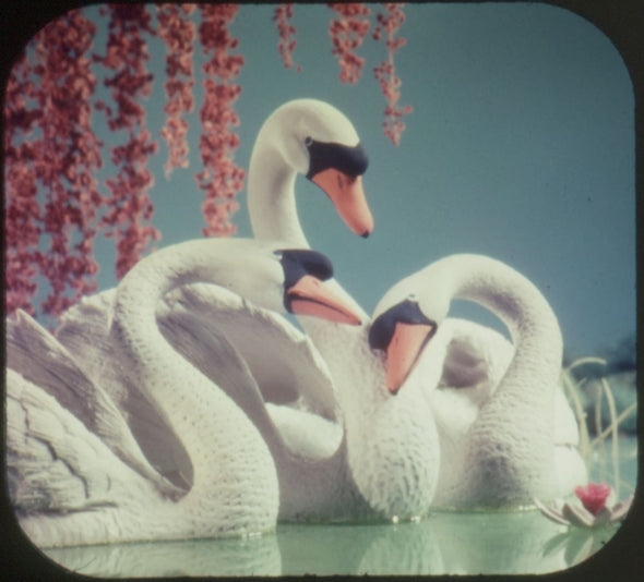 9 ANDREW - Three Little Pigs - View-Master 3 Reel Packet - vintage - B421-F-BG3 Packet 3Dstereo 