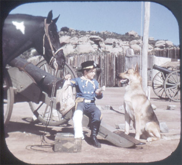 5 ANDREW - Rin-Tin-Tin - View-Master 3 Reel Packet - 1955 - vintage - B467-S4 Packet 3dstereo 