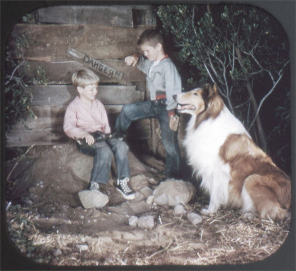 5 ANDREW - Lassie and Timmy - View-Master 3 Reel Packet - 1959 - vintage - B474-BS3 Packet 3dstereo 
