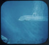 Voyage to the Bottom of the Sea - View-Master TV Show 3 Reel Packet - 1970s - vintage - (ECO- B483-G1A) Packet 3dstereo 