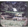 9 ANDREW - The Love Bug - View-Master 3 Reel Packet - vintage - B501-N-BG3 Packet 3Dstereo 