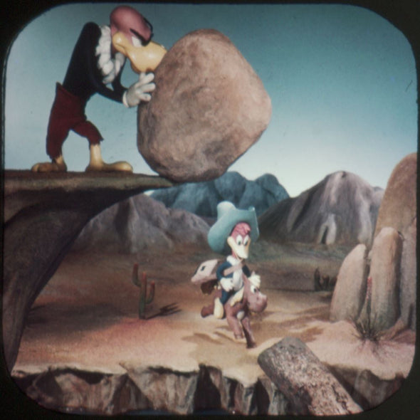 5 ANDREW - Woody Woodpecker and Andy Panda - View-Master 3 Reel Packet - vintage - B510-S5 Packet 3dstereo 