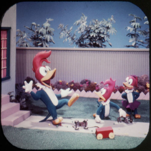 5 ANDREW - Woody Woodpecker and Andy Panda - View-Master 3 Reel Packet - vintage - B510-S5 Packet 3dstereo 