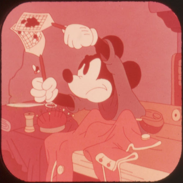 9 ANDREW - El Raton Miguelito - View-Master 3 Reel Economy Packet - vintage - B528-S-G6X Packet 3Dstereo 