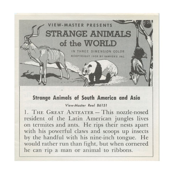 6 ANDREW - Strange Animals of the World - View-Master 3 Reel Packet - vintage - B615-S5 Packet 3dstereo 