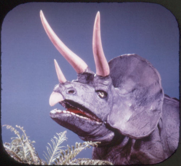 6 ANDREW - Prehistoric Animals - View-Master 3 Reel Packet - vintage - B619-S5 Packet 3dstereo 