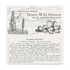 5 ANDREW - Desert Wild Flowers - View-Master 3 Reel Packet - vintage - B629-S6 Packet 3dstereo 