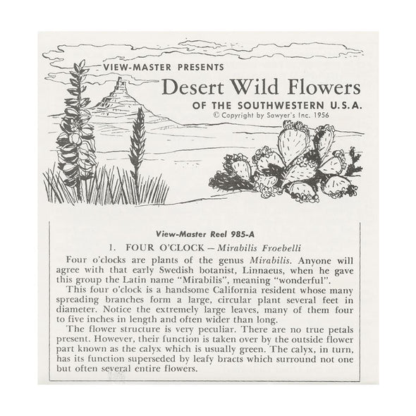 5 ANDREW - Desert Wild Flowers - View-Master 3 Reel Packet - vintage - B629-S6 Packet 3dstereo 