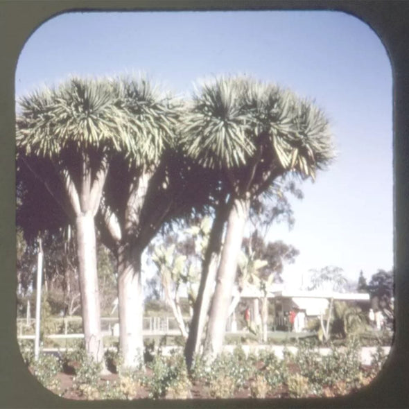 x-Plant Kingdom - Botany - Vintage View-Master 3 Reel Packet - 1970s views Packet 3dstereo 