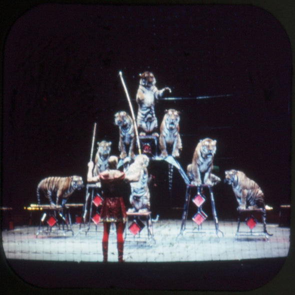 9 ANDREW - Ringling Bros. Circus - View-Master 3 Reel Packet - vintage - B775-G1A Packet 3Dstereo 