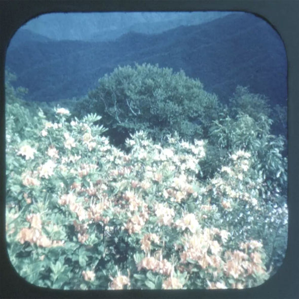 5 ANDREW - Blue Ridge Parkway - View-Master 3 Reel Packet - vintage - 78-A,B,C-S3 Packet 3dstereo 