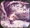 Bambi - early packet design - View-Master 3 Reel Packet - vintage - B400-S3 PKT 3Dstereo 