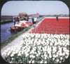 4 ANDREW - Tulip Time in Holland - View-Master 3 Reel Packet - vintage - C385-S6B Packet 3dstereo 