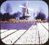 4 ANDREW - Tulip Time in Holland - View-Master 3 Reel Packet - vintage - C385-S6B Packet 3dstereo 