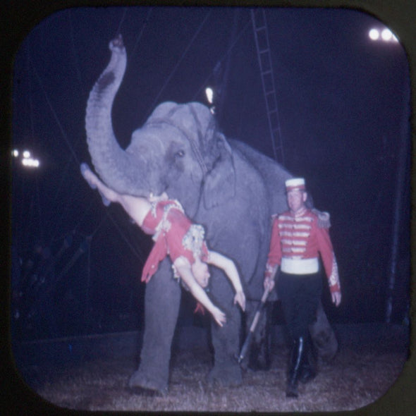 10 ANDREW - A Day At The Circus - View-Master 3 Reel Packet - vintage - 701,702,703-S1 Packet 3dstereo 