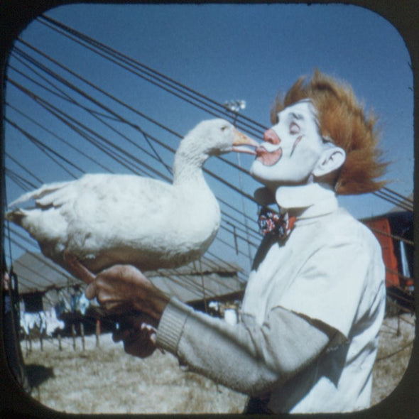 10 ANDREW - A Day At The Circus - View-Master 3 Reel Packet - vintage - 701,702,703-S1 Packet 3dstereo 