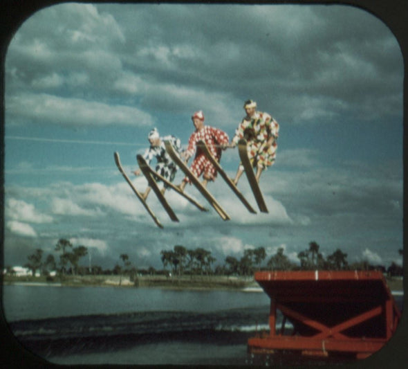 5 ANDREW - Cypress Gardens - View-Master 3 Reel Packet - 1955 - vintage - 164-A,B,C-S3 Packet 3dstereo 