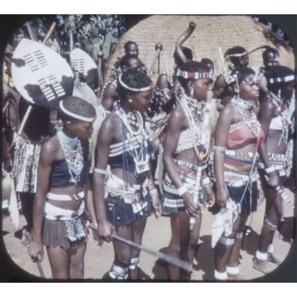 7 ANDREW - In Darkest Africa - View-Master 3 Reel Packet - vintage - 3900-A,B,C-S3 Packet 3dstereo 