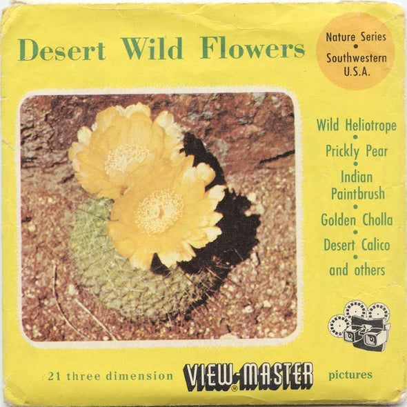 6 ANDREW - Desert Wild Flowers - View-Master 3 Reel Packet - vintage - 985-A,B,C-BS3 Packet 3dstereo 