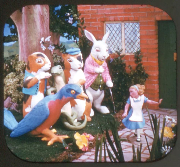 5 ANDREW - Alice in Wonderland - View-Master 3 Reel Packet - 1952 - vintage - FT20-ABC-S3 Packet 3dstereo 