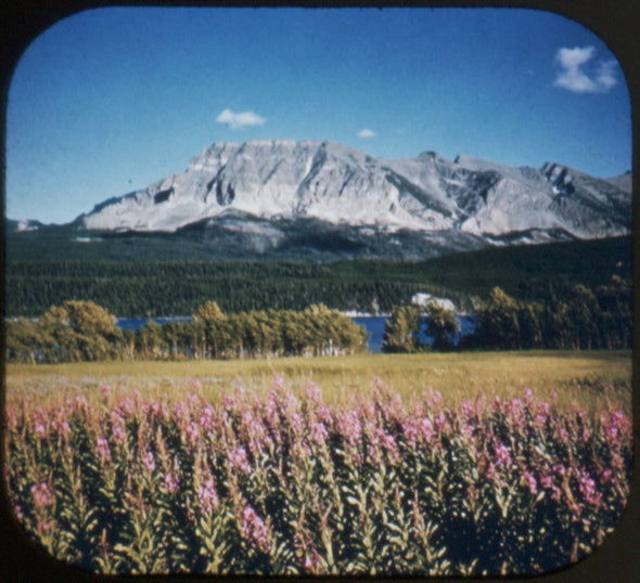 5 ANDREW - Glacier - View-Master 3 Reel Packet - vintage - 46,47,48-S3 Packet 3dstereo 