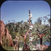 9 ANDREW - Adventureland - View-Master 3 Reel Packet - vintage - H23-G5 Packet 3Dstereo 