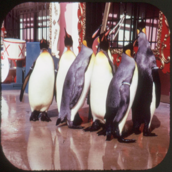 Sea World - Ohio - View-Master 3 Reel Packet - vintage - H76-G5 Packet 3dstereo 