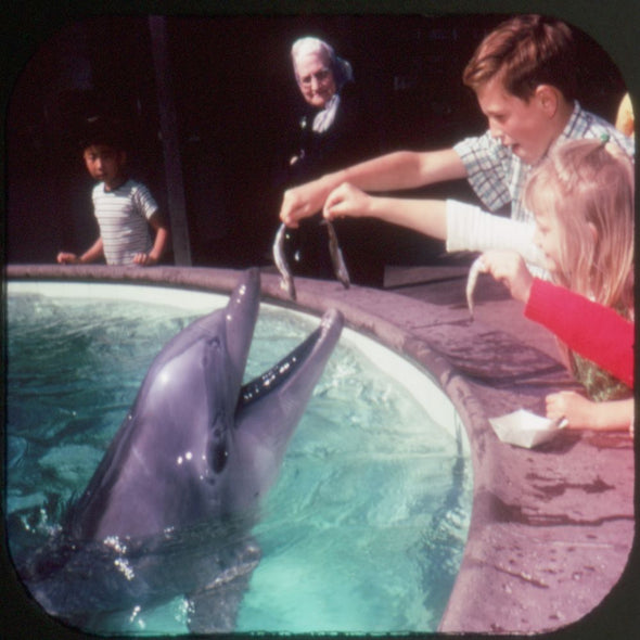 Sea World - Ohio - View-Master 3 Reel Packet - vintage - H76-G5 Packet 3dstereo 
