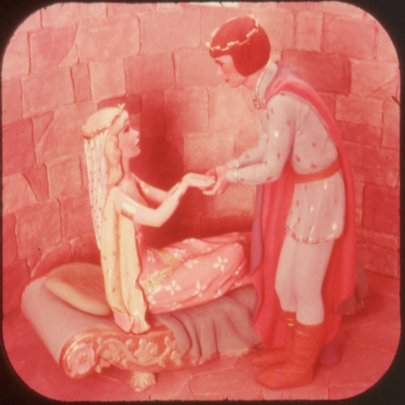 10 ANDREW - Little Red Riding Hood - View-Master 3 Reel Packet - vintage - H92-G5 Packet 3Dstereo 