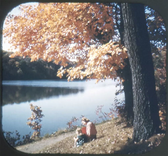 5 ANDREW - Iowa - View-Master 3 Reel Packet - vintage - IW-1,2,3-S1 Packet 3dstereo 