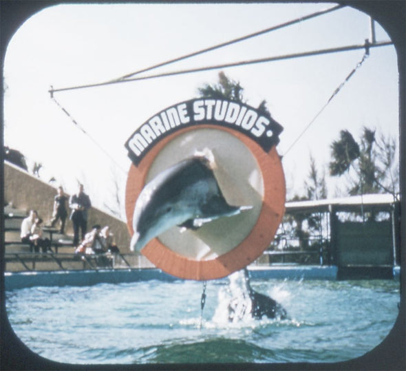 9 ANDREW - Marine Studios - View-Master 3 Reel Packet - vintage - 166-A,B,C-S3 Packet 3Dstereo 