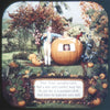 9 ANDREW - Mother Goose Rhymes - View-Master 3 Reel Packet - vintage - MG-1,2,3-S3 Packet 3Dstereo 
